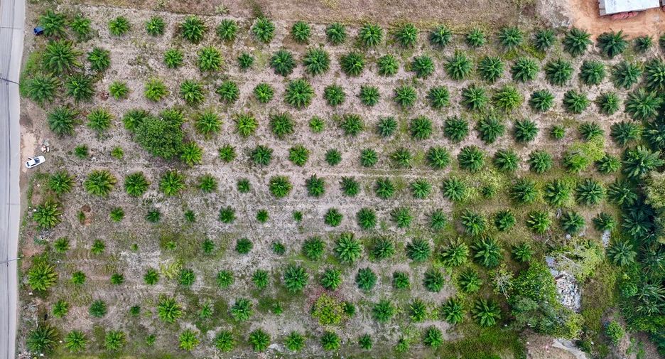 For rent land in Mueang Krabi, Krabi
