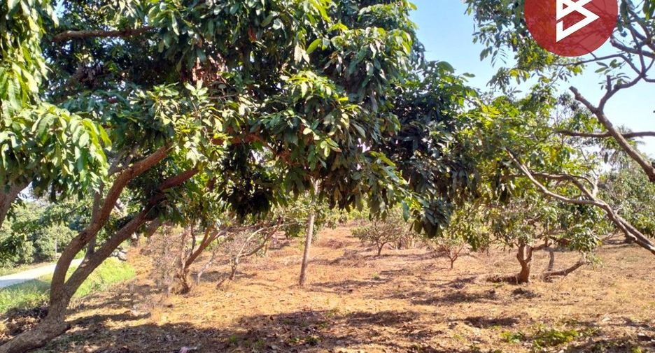 For sale land in Chom Thong, Chiang Mai