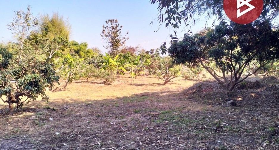 For sale land in Chom Thong, Chiang Mai