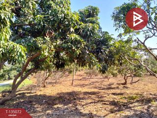 For sale land in Chom Thong, Chiang Mai