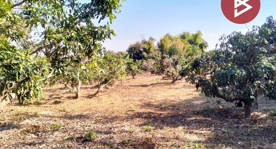 For sale land in Chom Thong, Chiang Mai