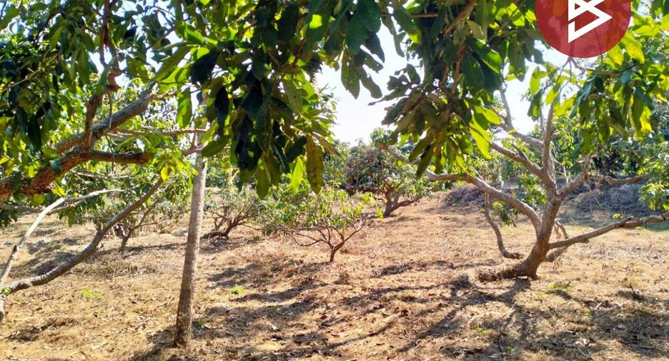 For sale land in Chom Thong, Chiang Mai