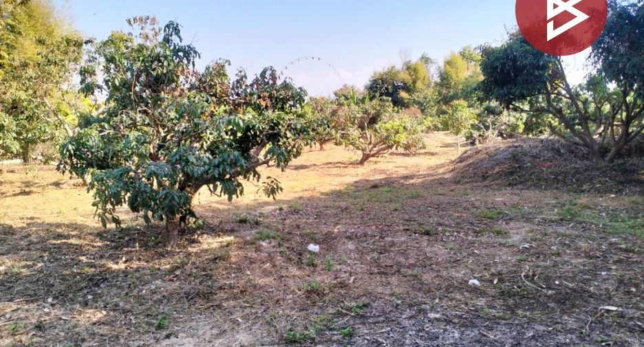 For sale land in Chom Thong, Chiang Mai
