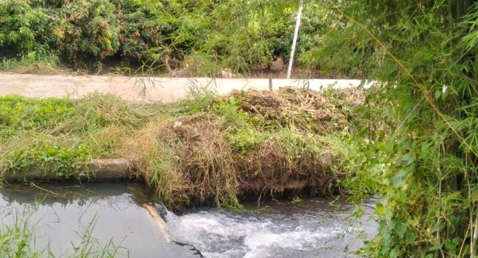 For sale land in Chom Thong, Chiang Mai