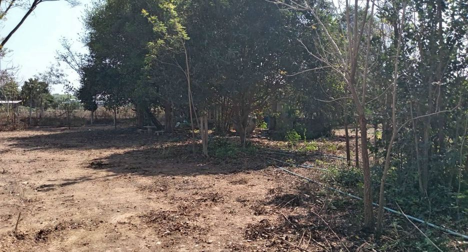 For sale land in Pak Tho, Ratchaburi