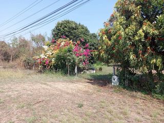 ขาย ที่ดิน ใน ปากท่อ, ราชบุรี