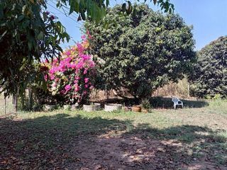 ขาย ที่ดิน ใน ปากท่อ, ราชบุรี