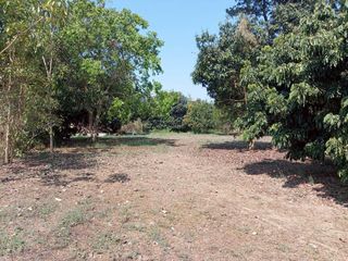 ขาย ที่ดิน ใน ปากท่อ, ราชบุรี