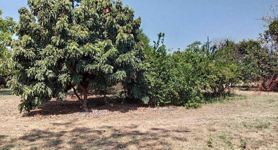 For sale land in Pak Tho, Ratchaburi