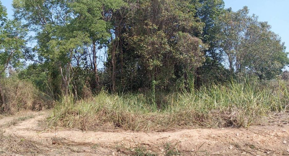 For sale land in Pak Tho, Ratchaburi