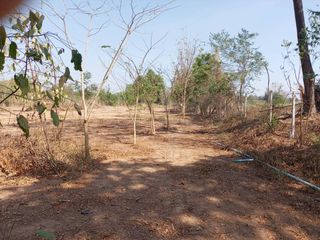 ขาย ที่ดิน ใน ปากท่อ, ราชบุรี
