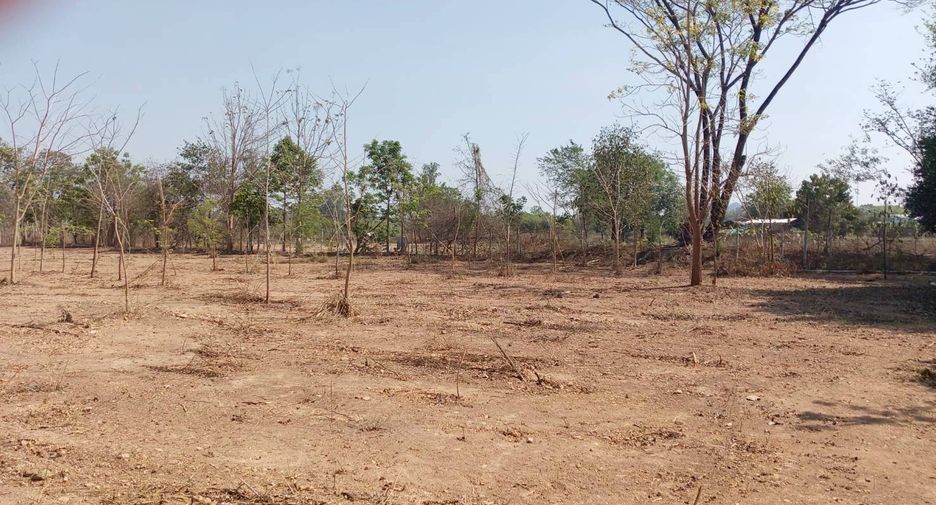 For sale land in Pak Tho, Ratchaburi
