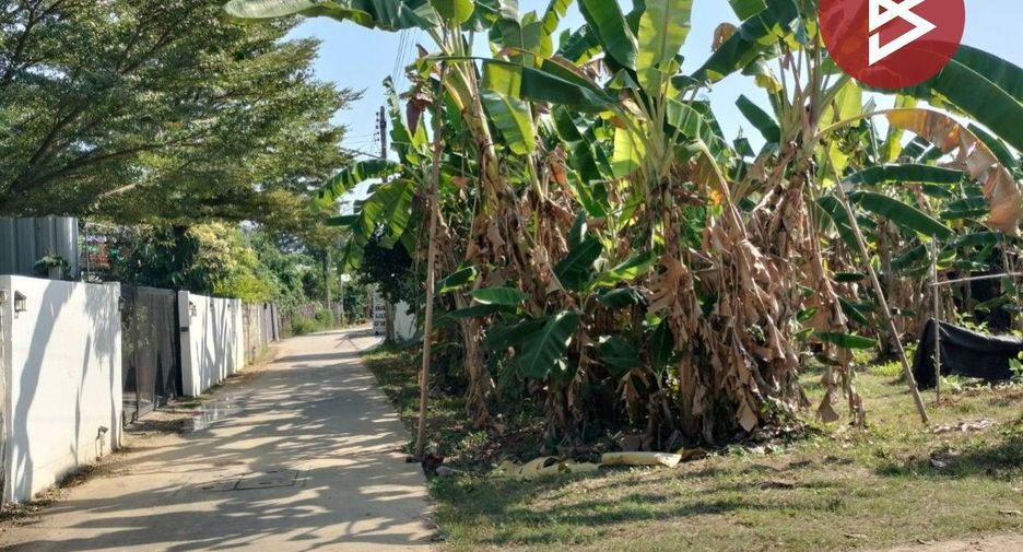 ขาย ที่ดิน ใน เมืองพิษณุโลก, พิษณุโลก