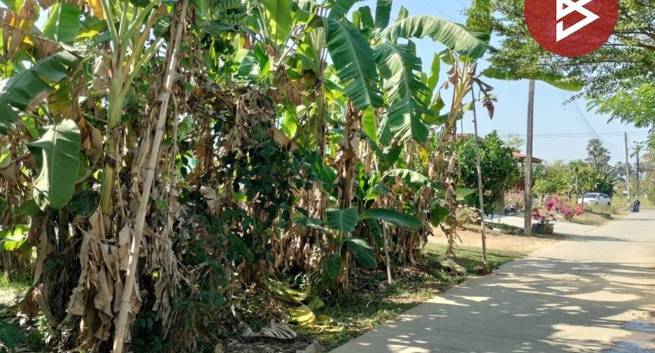 ขาย ที่ดิน ใน เมืองพิษณุโลก, พิษณุโลก