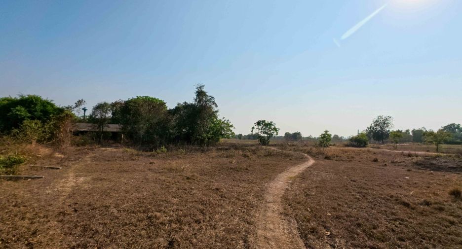 Grundstück zum Kauf in Don Chedi, Suphan Buri