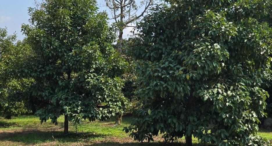 For sale land in Mueang Chanthaburi, Chanthaburi
