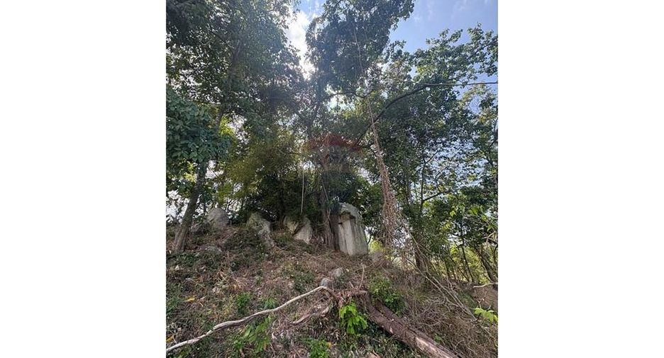 For rent land in Ko Samui, Surat Thani