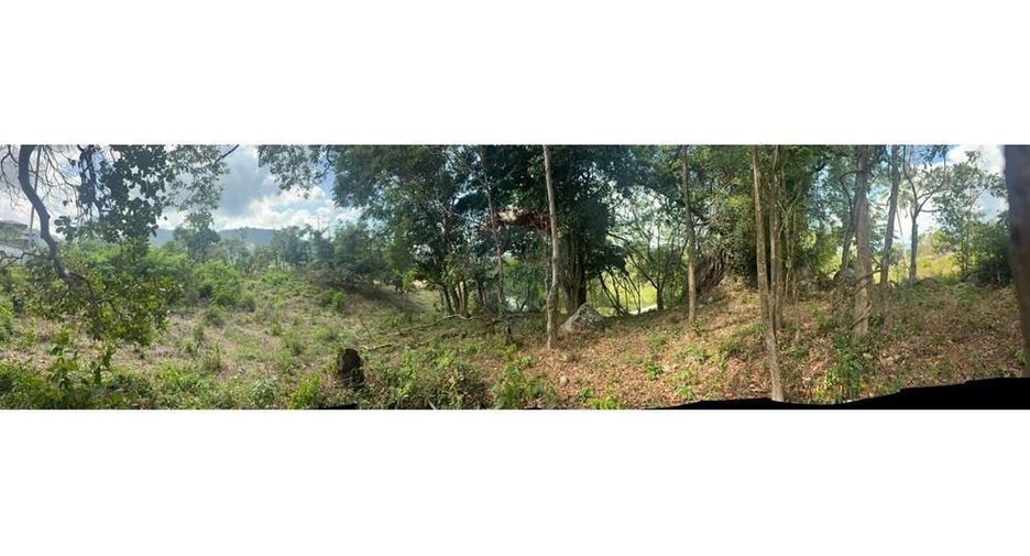 For rent land in Ko Samui, Surat Thani