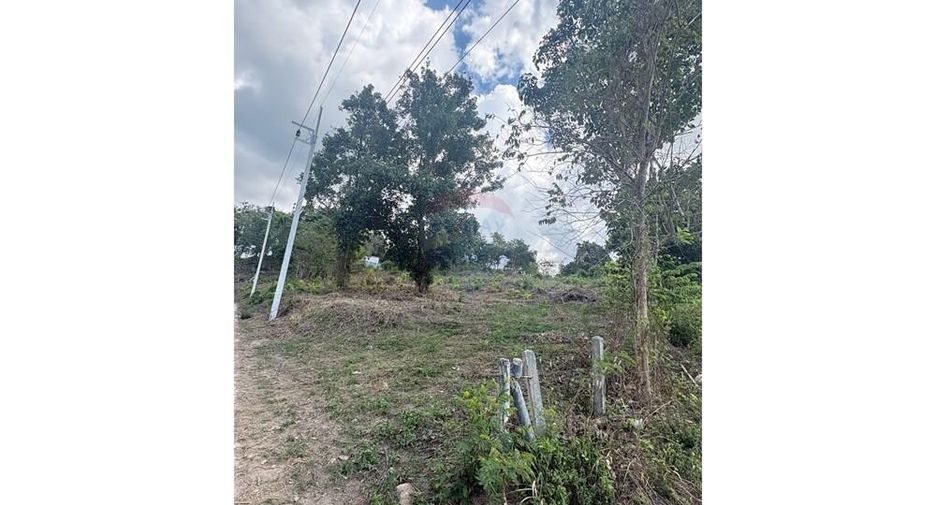 For rent land in Ko Samui, Surat Thani