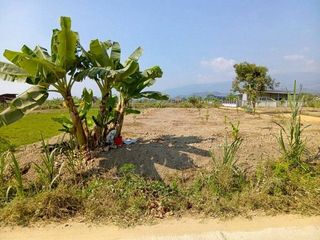 出售 土地 在 Samoeng, Chiang Mai
