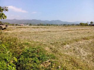 出售 土地 在 Samoeng, Chiang Mai