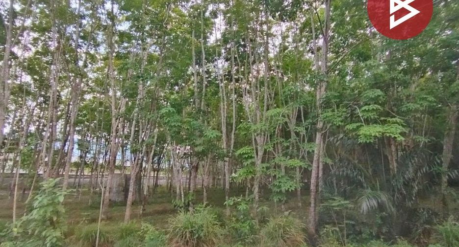 For sale land in Klaeng, Rayong
