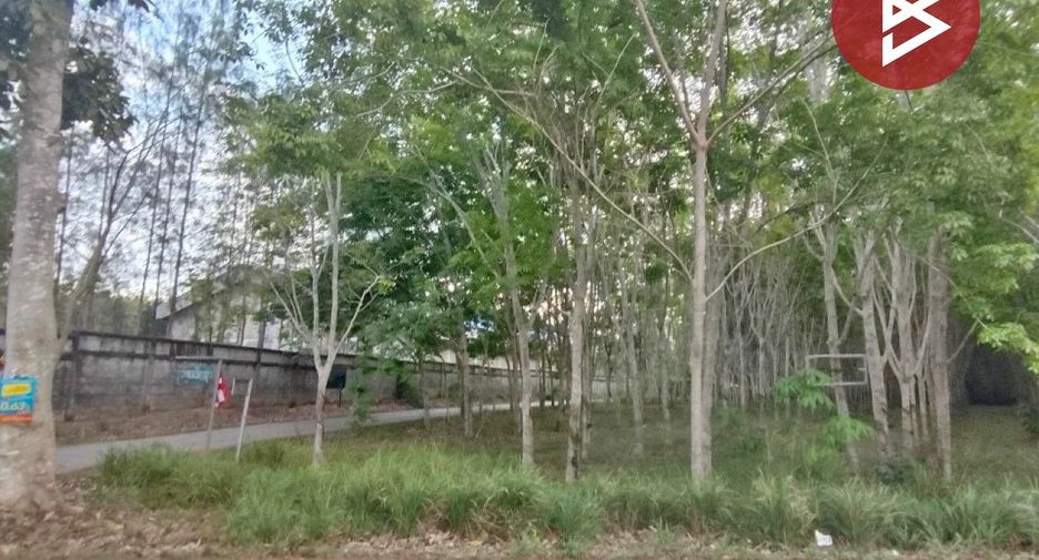 For sale land in Klaeng, Rayong