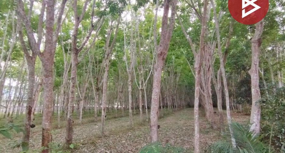 For sale land in Klaeng, Rayong