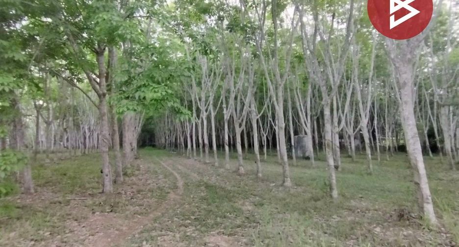 For sale land in Klaeng, Rayong