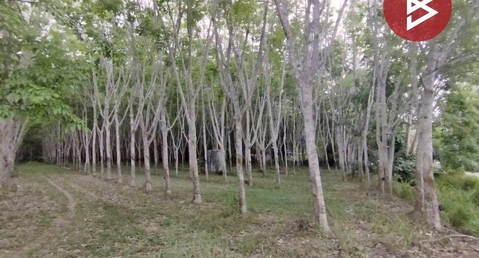 For sale land in Klaeng, Rayong