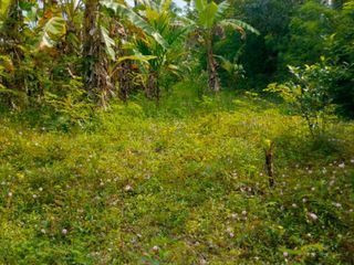 出售 土地 在 Mueang Nakhon Si Thammarat, Nakhon Si Thammarat