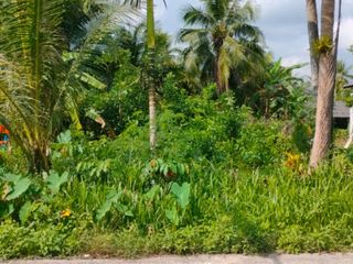 出售 土地 在 Mueang Nakhon Si Thammarat, Nakhon Si Thammarat