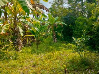 出售 土地 在 Mueang Nakhon Si Thammarat, Nakhon Si Thammarat