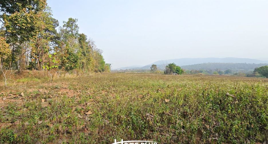 For sale land in Mae Taeng, Chiang Mai