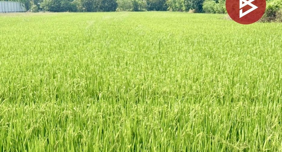 Продажа Участок в Nakhon Chai Si, Накхонпатхом