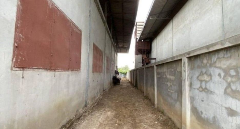 For rent land in Wiset Chai Chan, Ang Thong
