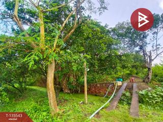 For sale land in Amphawa, Samut Songkhram