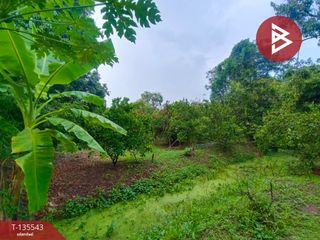 For sale land in Amphawa, Samut Songkhram