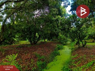 For sale land in Amphawa, Samut Songkhram