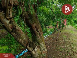 For sale land in Amphawa, Samut Songkhram