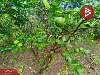For sale land in Amphawa, Samut Songkhram