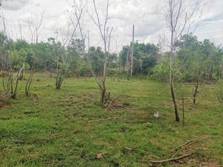 ขาย ที่ดิน ใน บางคล้า, ฉะเชิงเทรา