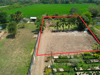 For sale land in Saraphi, Chiang Mai