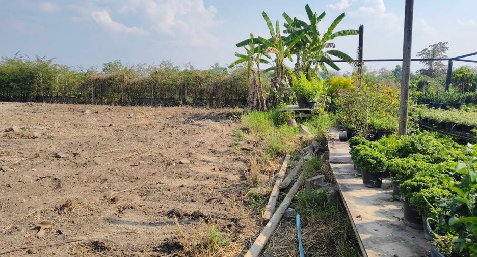 Terreno en venta en Saraphi, Chiang Mai