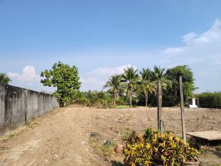 For sale land in Saraphi, Chiang Mai