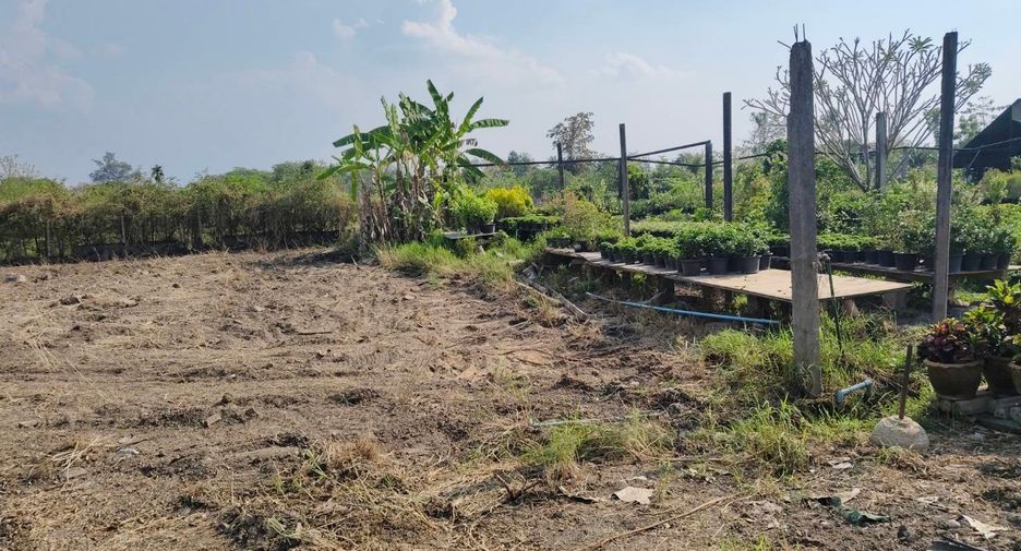 Terreno en venta en Saraphi, Chiang Mai