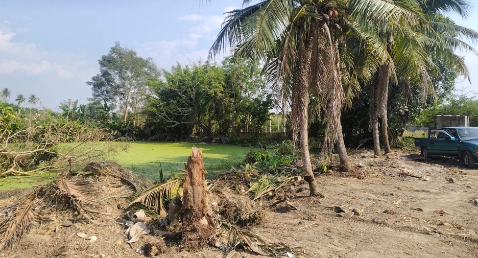 Terreno en venta en Saraphi, Chiang Mai