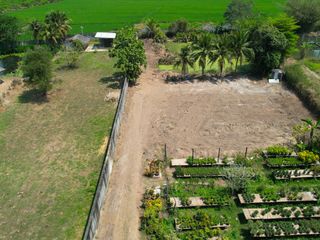 For sale land in Saraphi, Chiang Mai