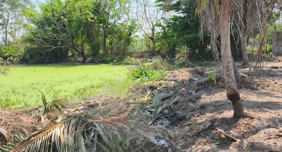 Terreno en venta en Saraphi, Chiang Mai