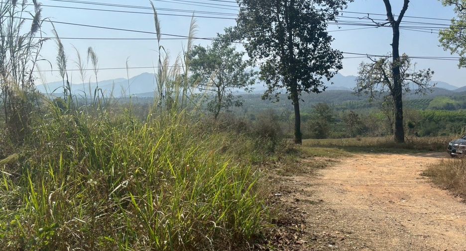 For sale land in Phrao, Chiang Mai